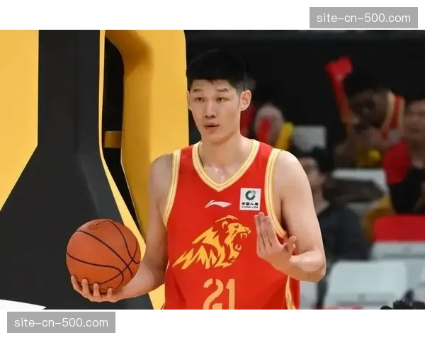 数据分析：当胡金秋下场时，浙江广厦的篮板保护效率下降20%